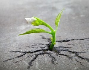 Scopri di più sull'articolo Come migliorare la vita a piccoli passi